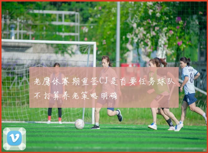 老鹰休赛期重签CJ是首要任务球队不打算养老策略明确